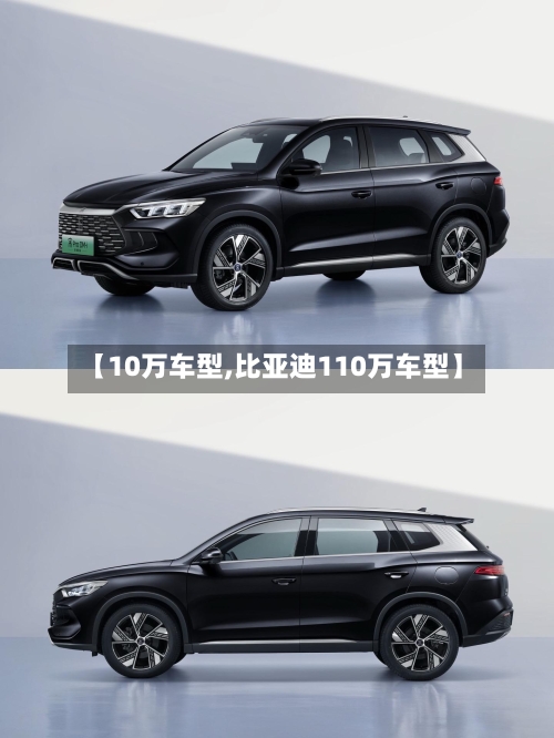 【10万车型,比亚迪110万车型】-第2张图片