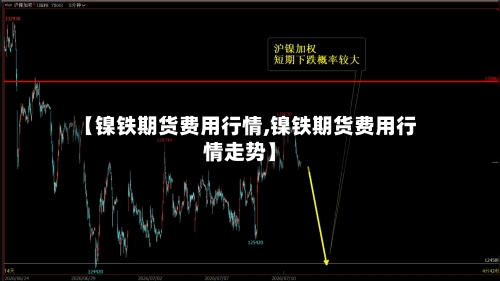 【镍铁期货费用行情,镍铁期货费用行情走势】-第2张图片