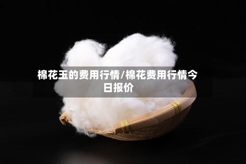 棉花玉的费用行情/棉花费用行情今日报价-第2张图片