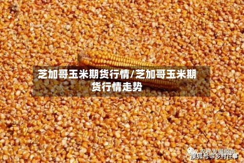 芝加哥玉米期货行情/芝加哥玉米期货行情走势-第3张图片