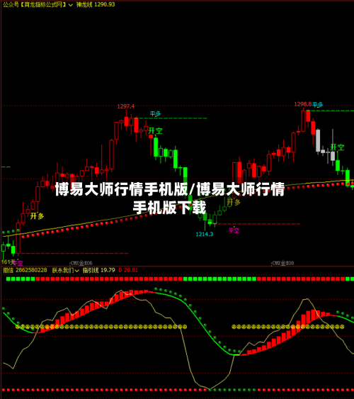 博易大师行情手机版/博易大师行情手机版下载