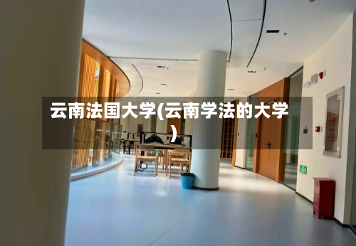 云南法国大学(云南学法的大学)