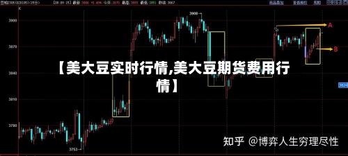 【美大豆实时行情,美大豆期货费用行情】-第2张图片