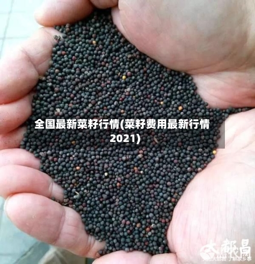 全国最新菜籽行情(菜籽费用最新行情2021)-第2张图片