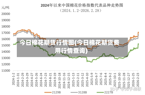今日棉花期货行情图(今日棉花期货费用行情查询)-第2张图片