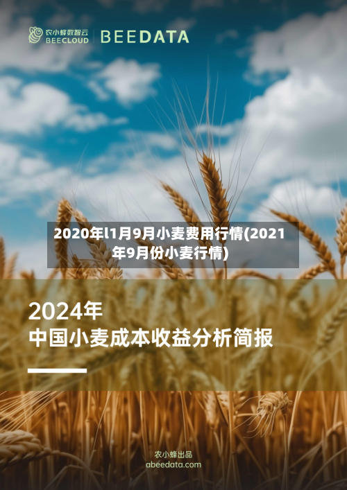 2020年l1月9月小麦费用行情(2021年9月份小麦行情)