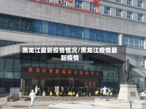 黑龙江最新疫情情况/黑龙江疫情最新疫情-第2张图片