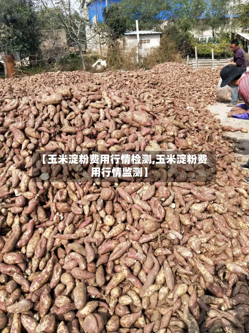【玉米淀粉费用行情检测,玉米淀粉费用行情监测】-第2张图片
