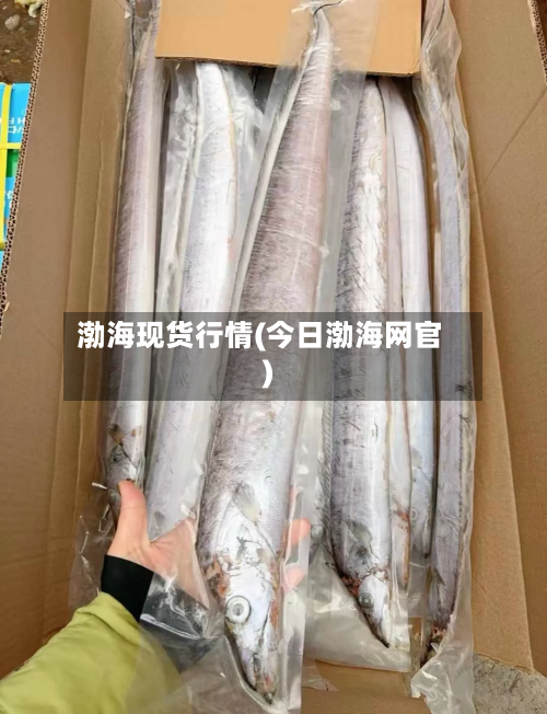 渤海现货行情(今日渤海网官)