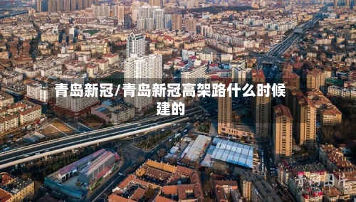 青岛新冠/青岛新冠高架路什么时候建的-第2张图片