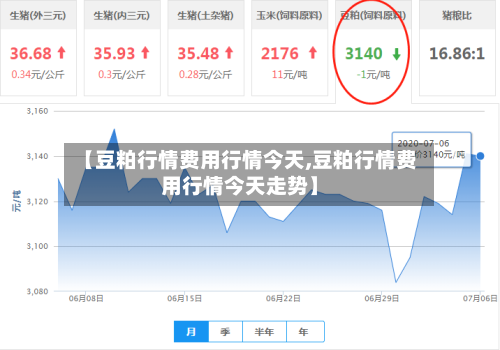 【豆粕行情费用行情今天,豆粕行情费用行情今天走势】-第2张图片