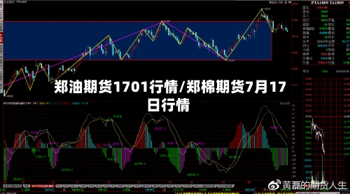 郑油期货1701行情/郑棉期货7月17日行情