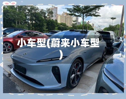 小车型(蔚来小车型)-第3张图片