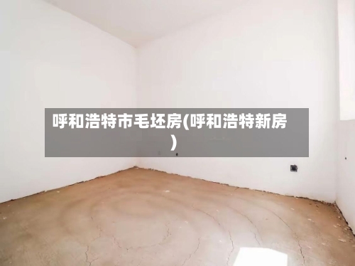呼和浩特市毛坯房(呼和浩特新房)