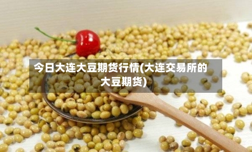 今日大连大豆期货行情(大连交易所的大豆期货)