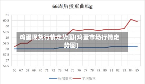 鸡蛋现货行情走势图(鸡蛋市场行情走势图)