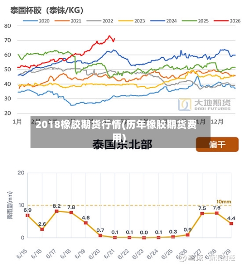 2018橡胶期货行情(历年橡胶期货费用)