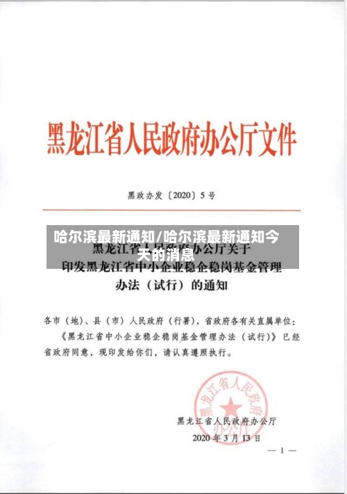 哈尔滨最新通知/哈尔滨最新通知今天的消息-第3张图片