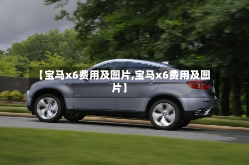 【宝马x6费用及图片,宝马x6费用及图片】-第2张图片