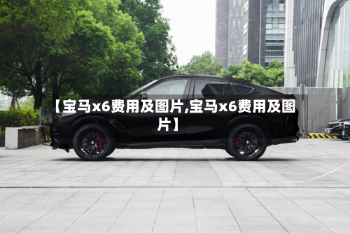 【宝马x6费用及图片,宝马x6费用及图片】
