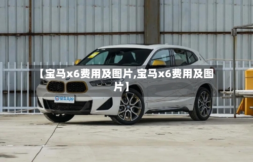 【宝马x6费用及图片,宝马x6费用及图片】-第3张图片
