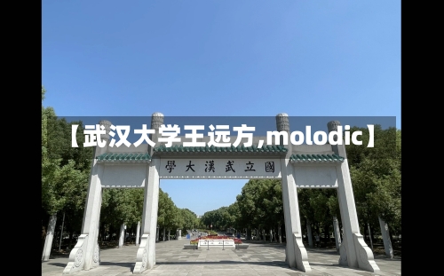 【武汉大学王远方,molodic】
