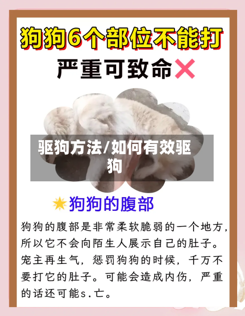 驱狗方法/如何有效驱狗-第2张图片