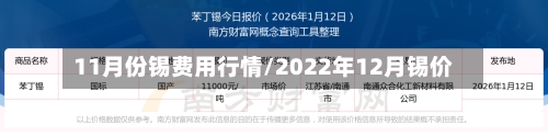 11月份锡费用行情/2022年12月锡价
