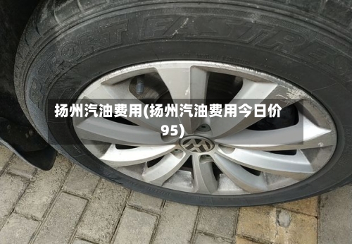 扬州汽油费用(扬州汽油费用今日价95)