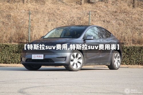 【特斯拉suv费用,特斯拉suv费用表】-第3张图片