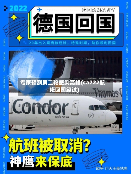 专家预测第二轮感染高峰(ca722航班回国经过)