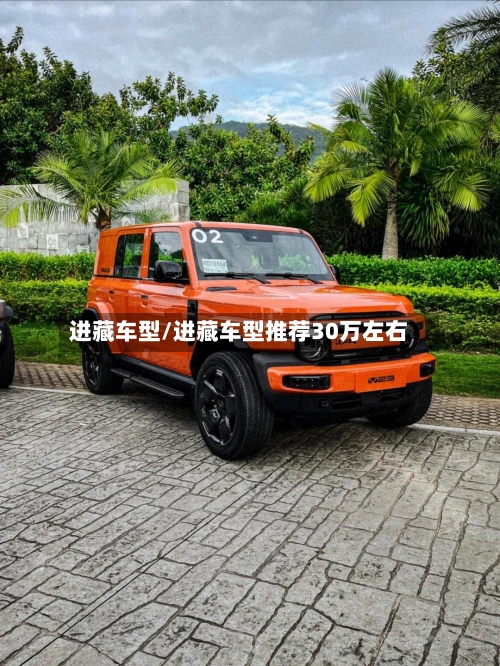 进藏车型/进藏车型推荐30万左右