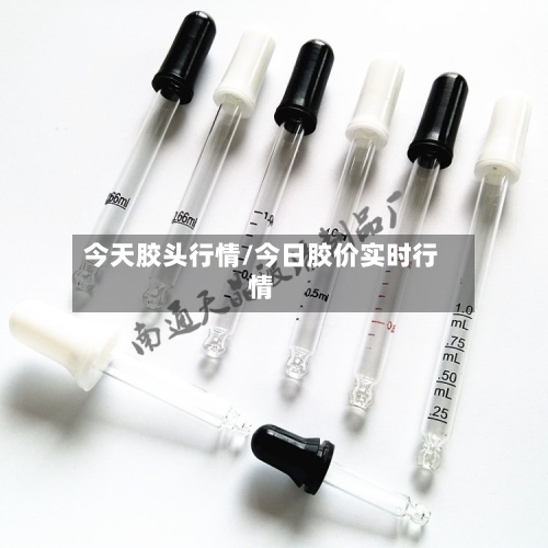 今天胶头行情/今日胶价实时行情