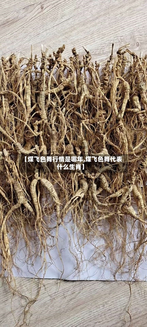 【煤飞色舞行情是哪年,煤飞色舞代表什么生肖】