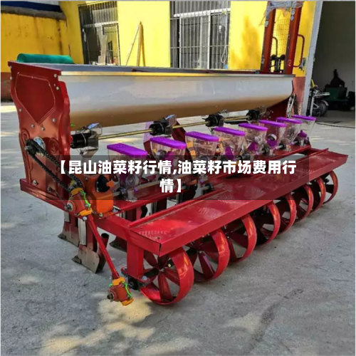 【昆山油菜籽行情,油菜籽市场费用行情】-第2张图片