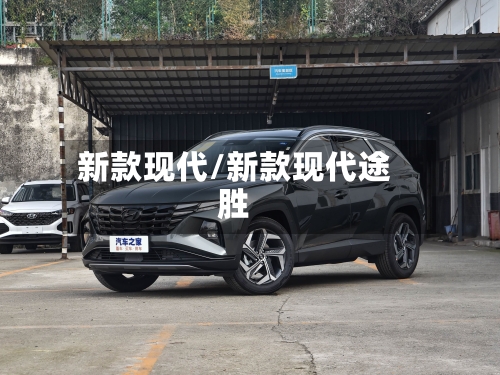 新款现代/新款现代途胜-第2张图片